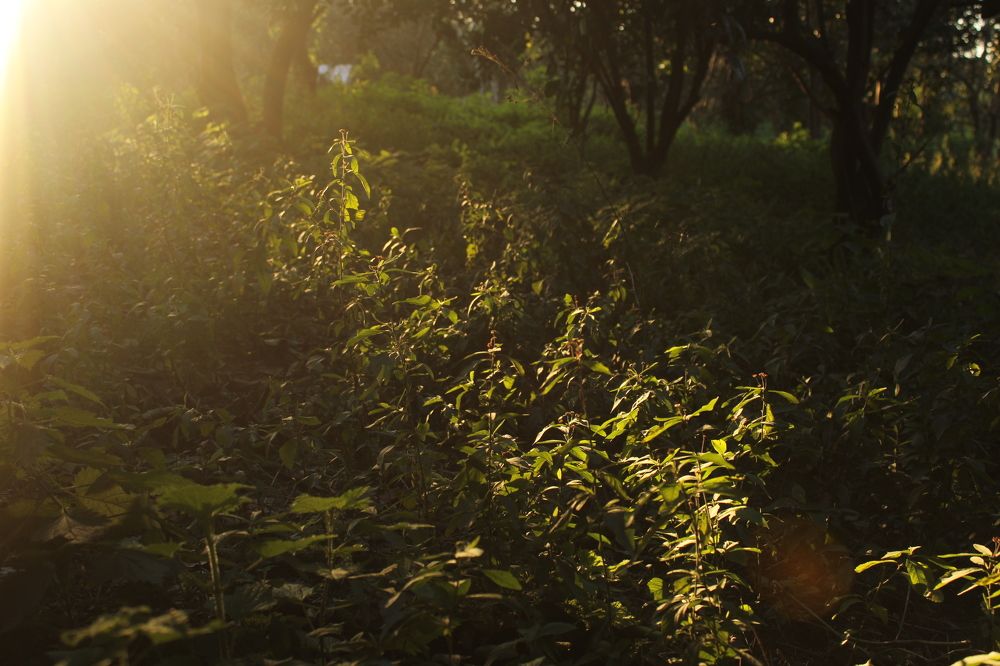 Фотография автора Mahdie