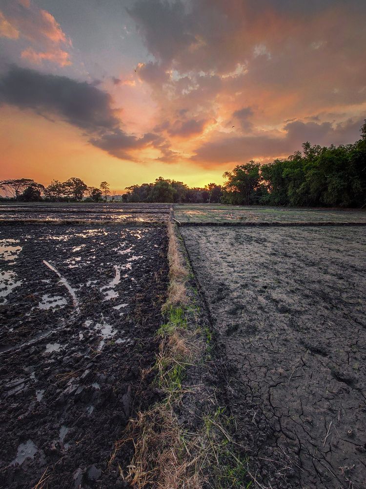 Photograph by Ivan Maulana