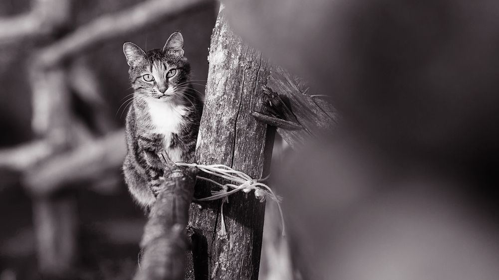 Photograph by Вербицкий Петр