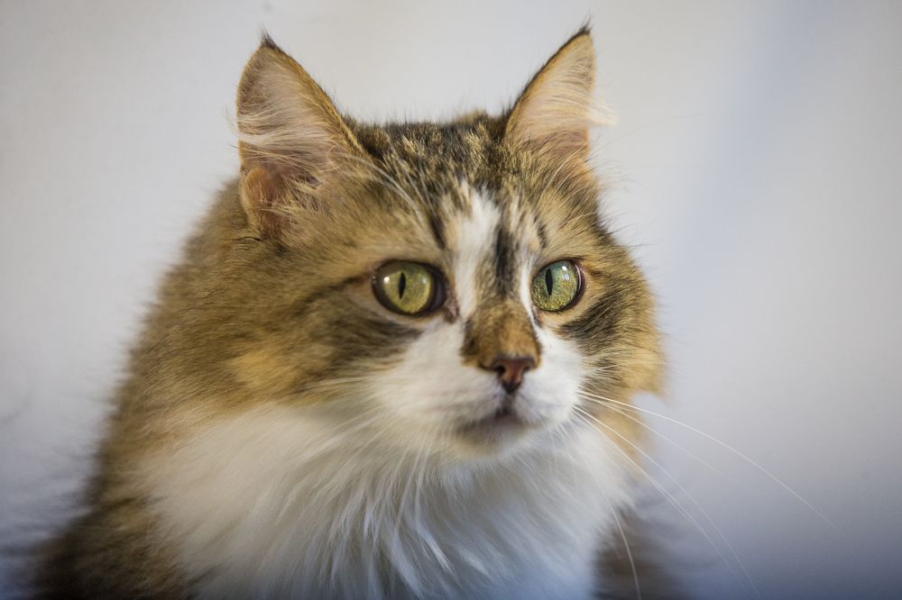 Photograph by Иван Овчинников