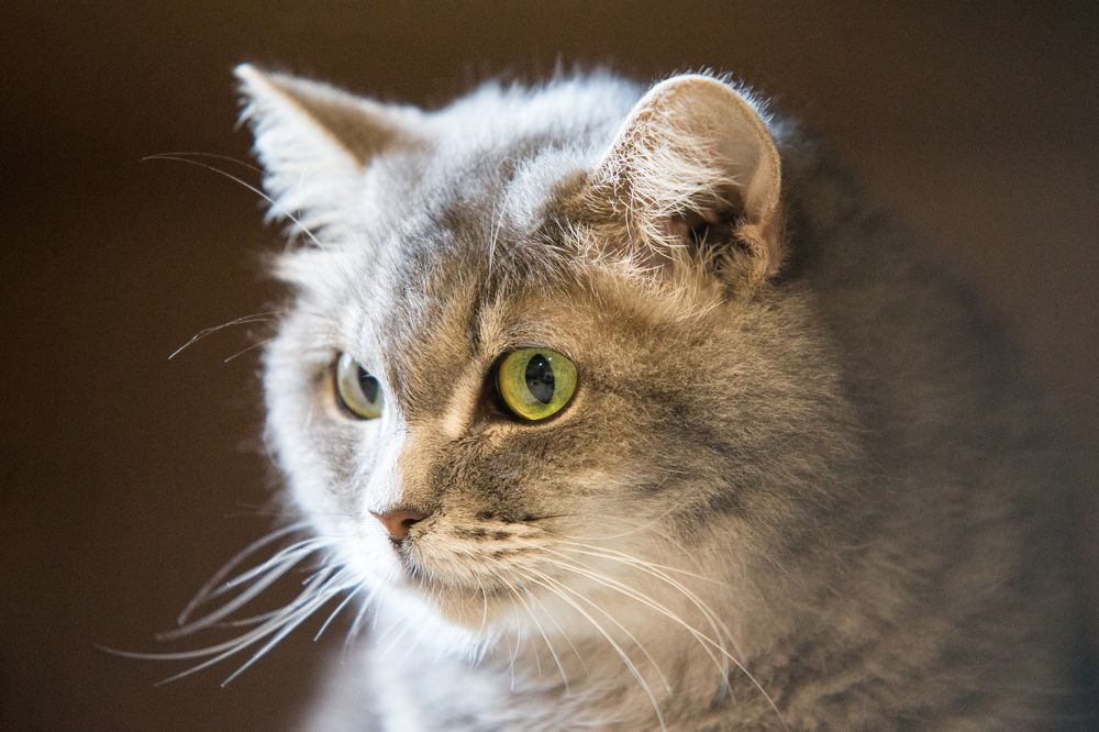 Photograph by Иван Овчинников