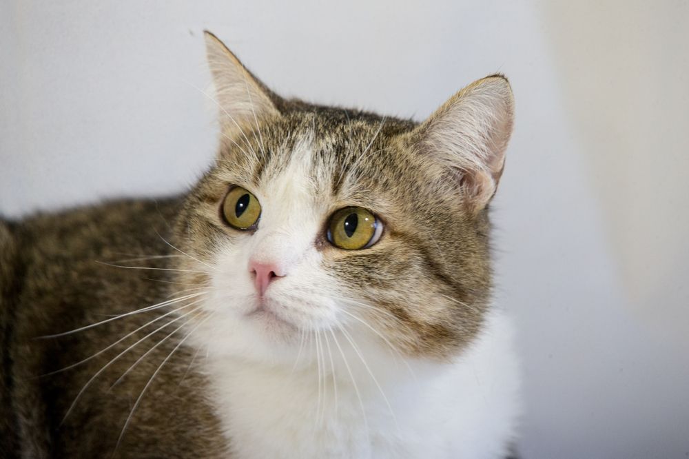 Photograph by Иван Овчинников