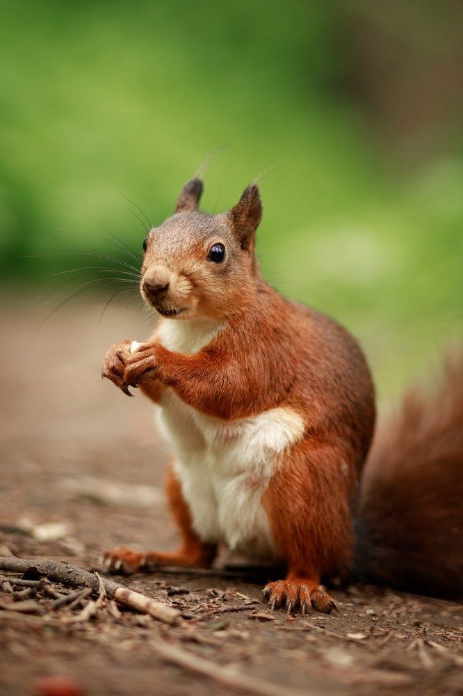 Фотография автора Александра Асаулко