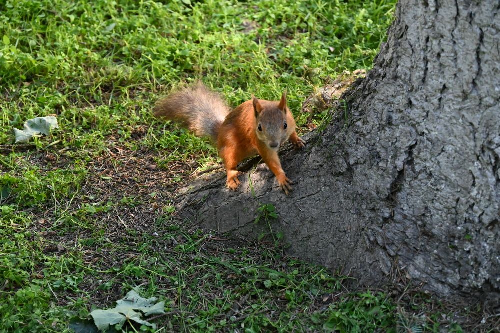 Photograph by Alexandr