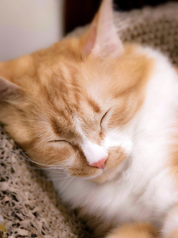 Photograph by Kevin Nguyen