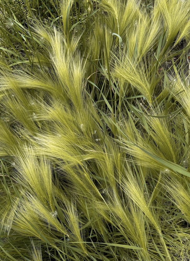 Photograph by Алёна Стародубцева