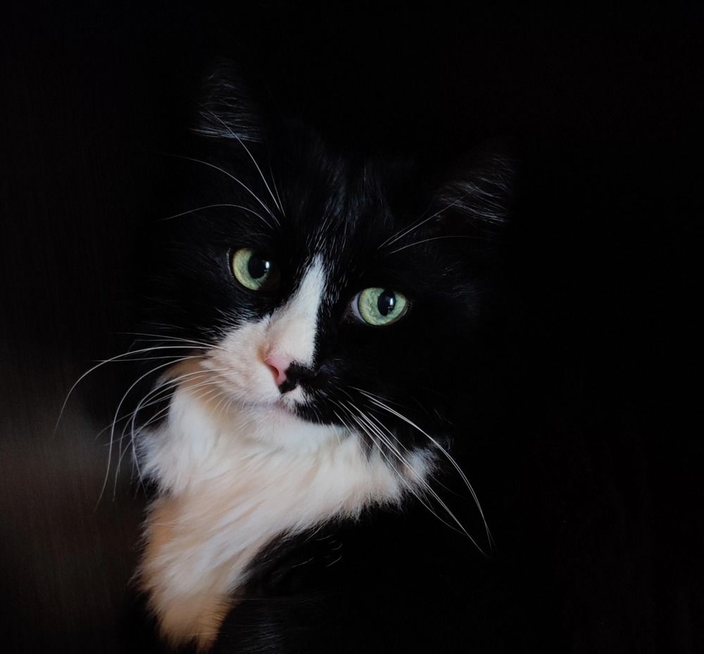 Photograph by Полина Белокопытова