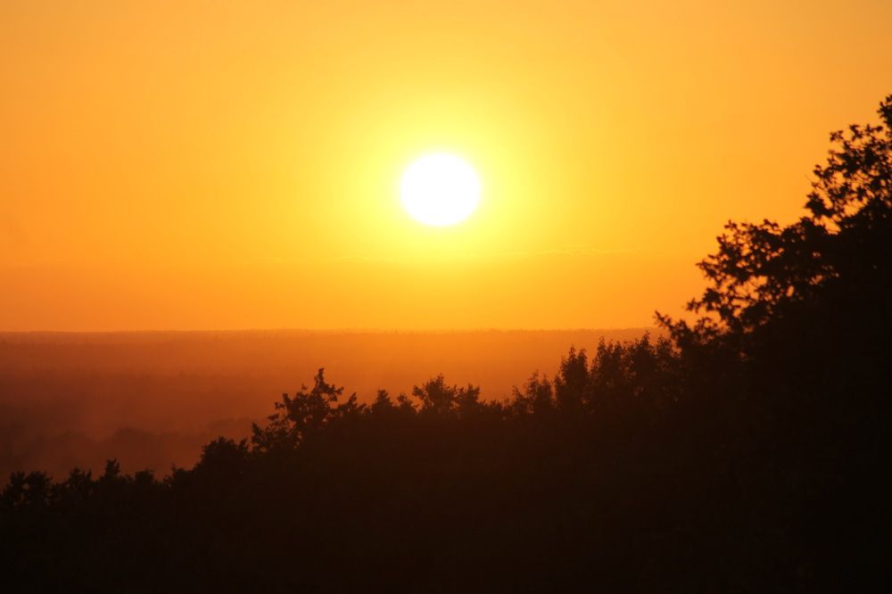 Photograph by Александр Гришин