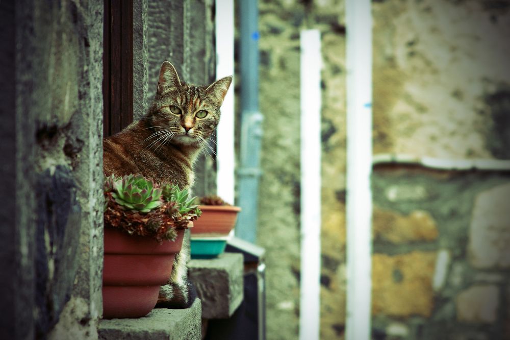 Photograph by Павел