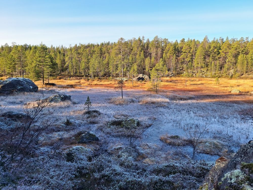 У озера Пилигримское