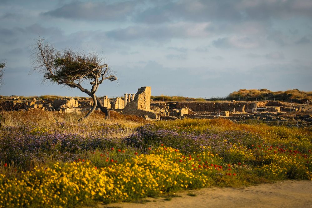 Photograph by Павел