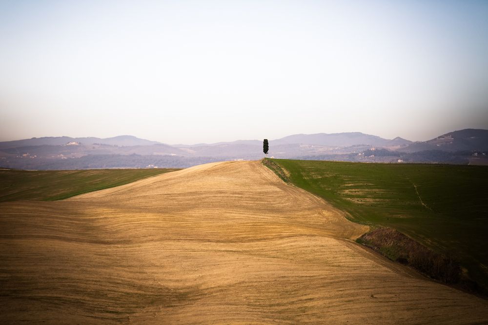 Photograph by Павел