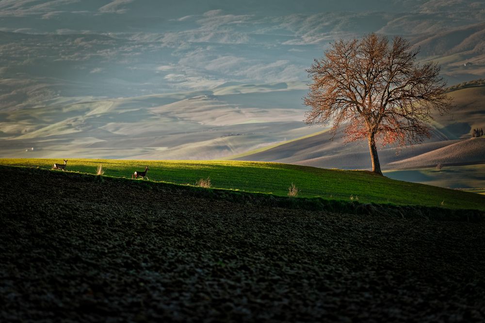 Photograph by Павел