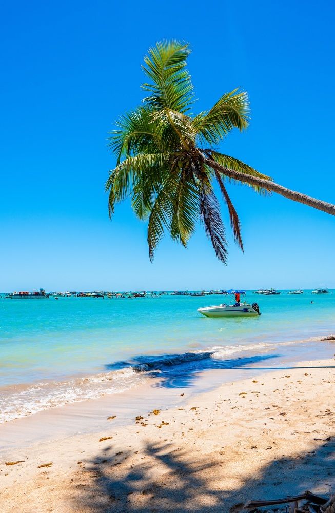 Фотография автора Antonio Etevaldo Rodrigues Junior