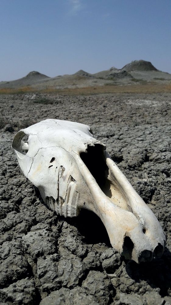 Photograph by  Санан