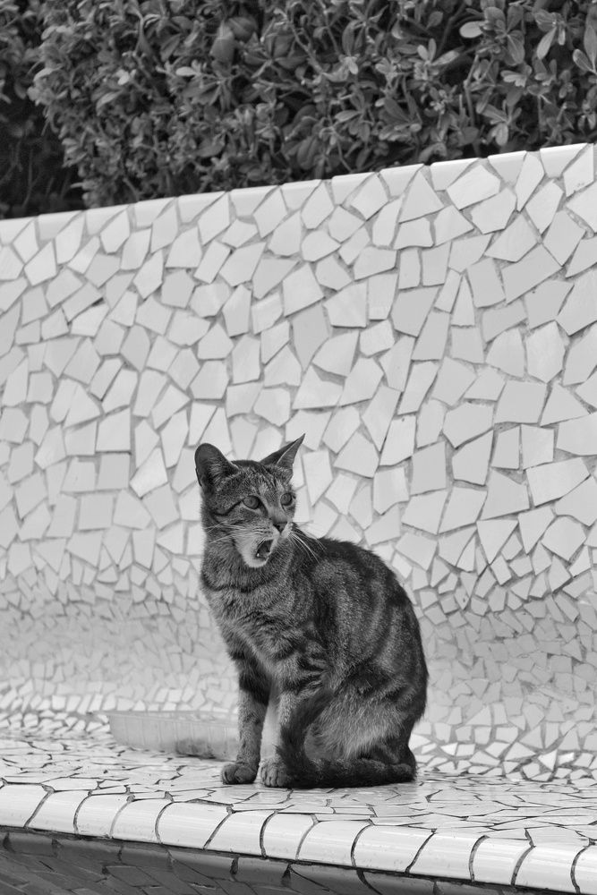Photograph by Olga Gorokhova