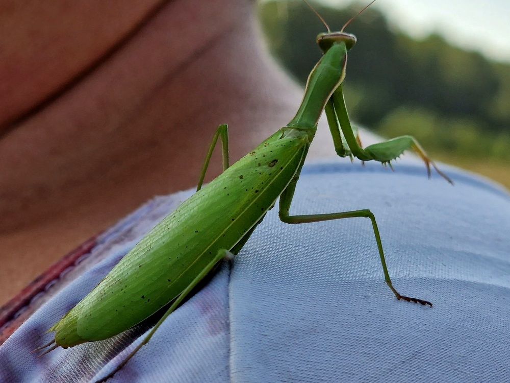 Photograph by Сергей Жиркевич