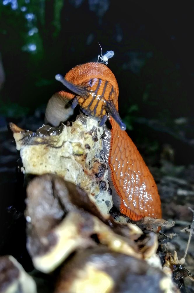 Photograph by Александр Фокин