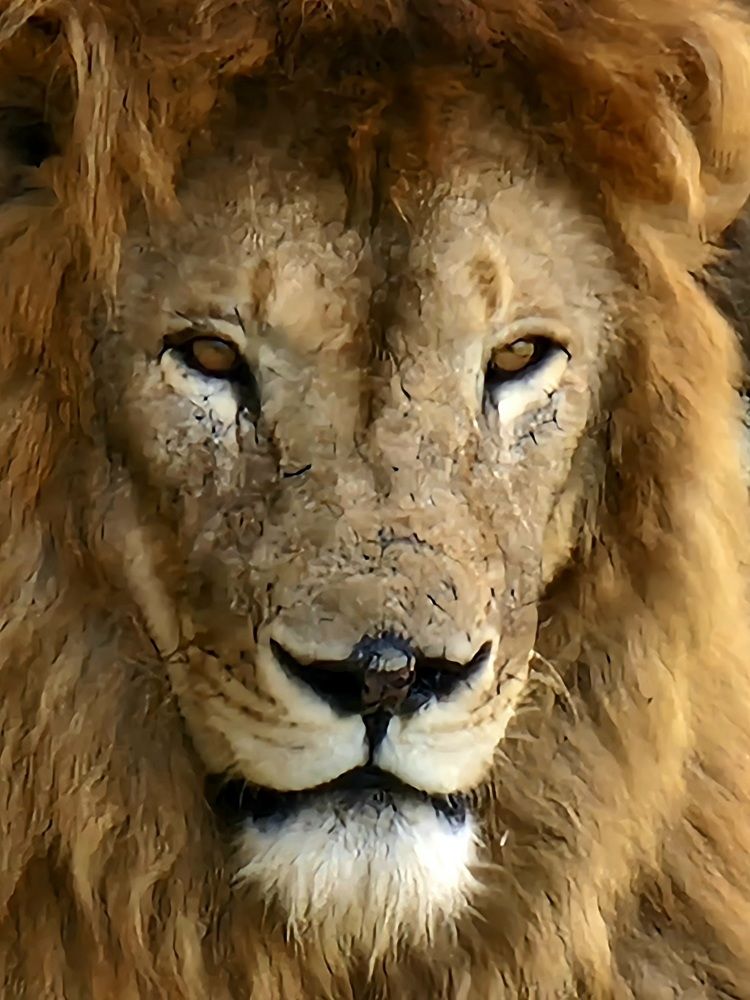 Photograph by Сергей Жиркевич