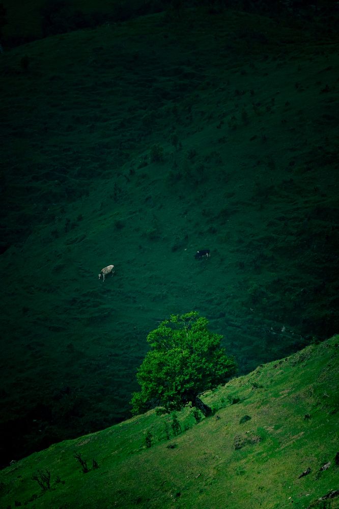 Photograph by Diptadip Das