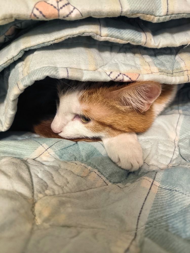 Photograph by Svetlana Gubanova