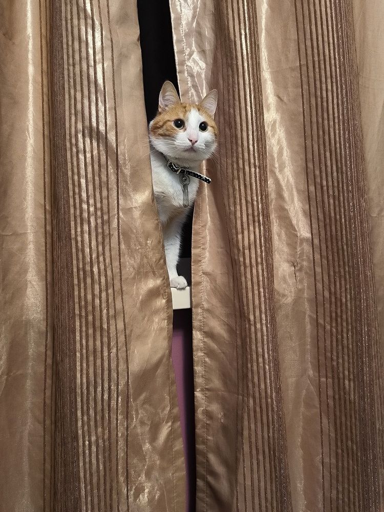 Photograph by Svetlana Gubanova