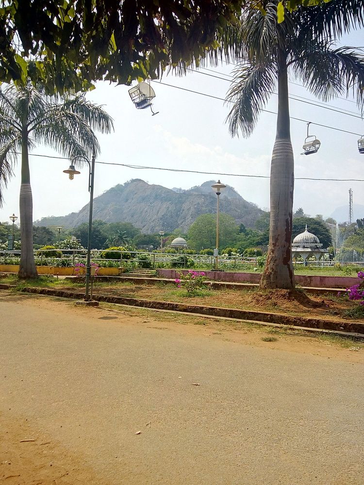Photo #10749609