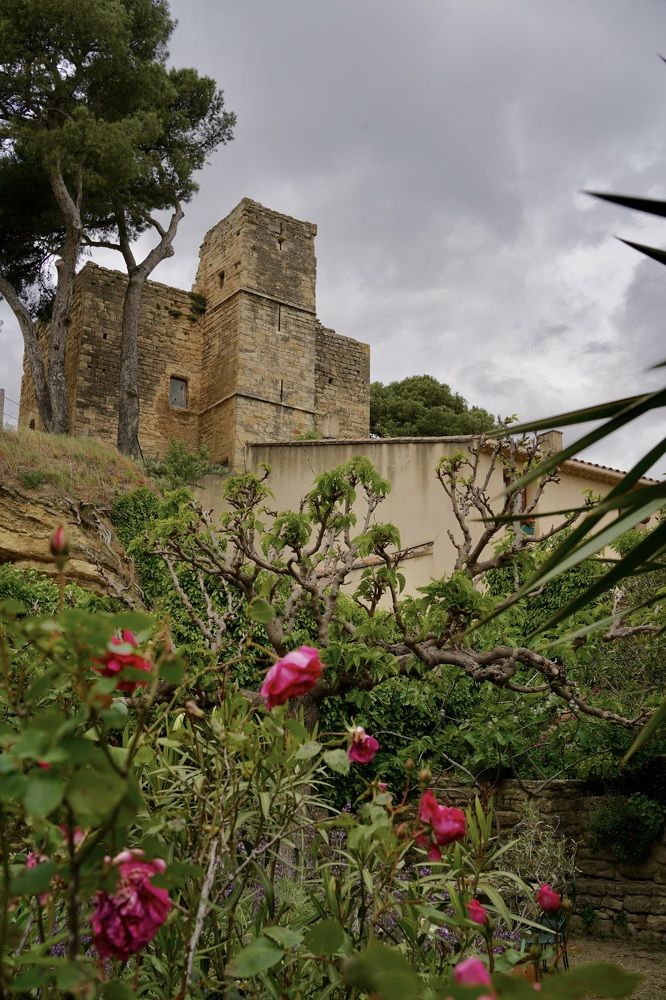 Photograph by Marina Odintsova