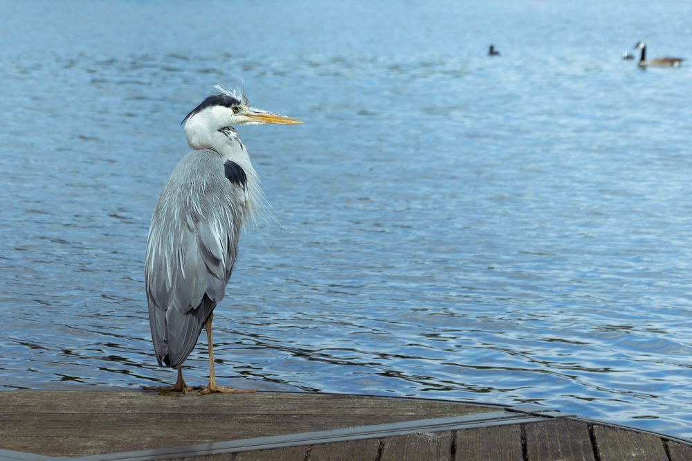 Photograph by Оксана Бочина