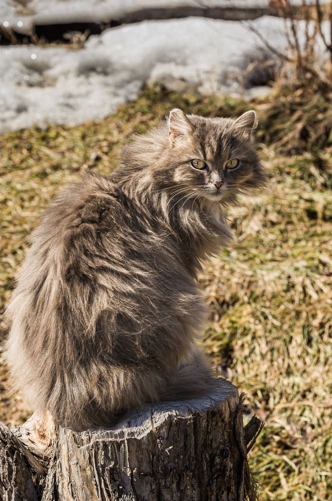 Photograph by Елена Павлова