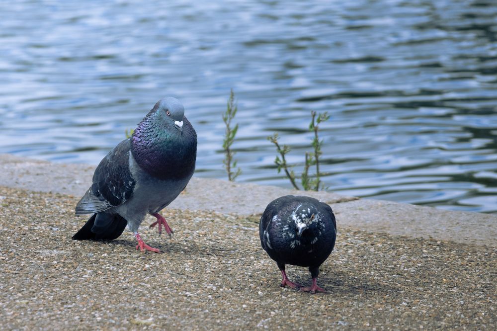 Photograph by Оксана Бочина