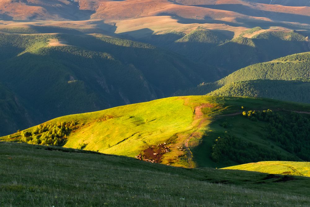 Photograph by Ольга Волкова