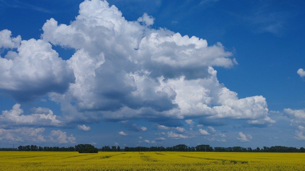 Photograph by Николай Двойнов
