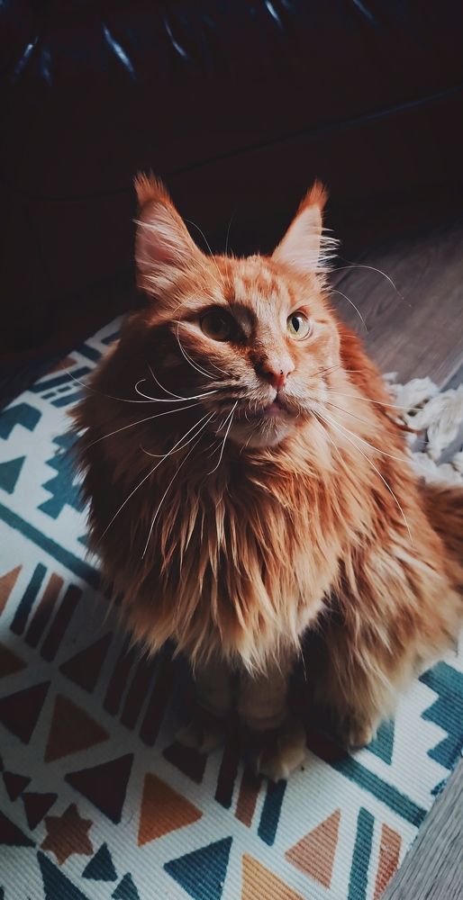 Фотография автора Павел Усачёв