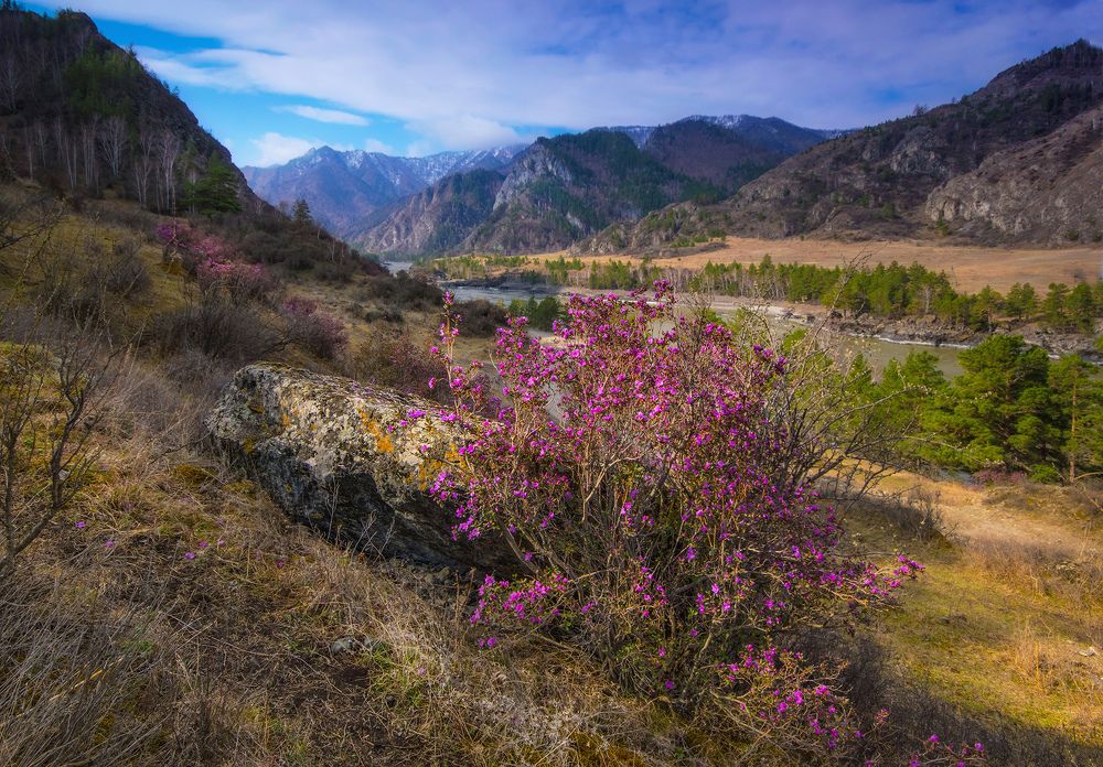 Photograph by Чичкин Валерий