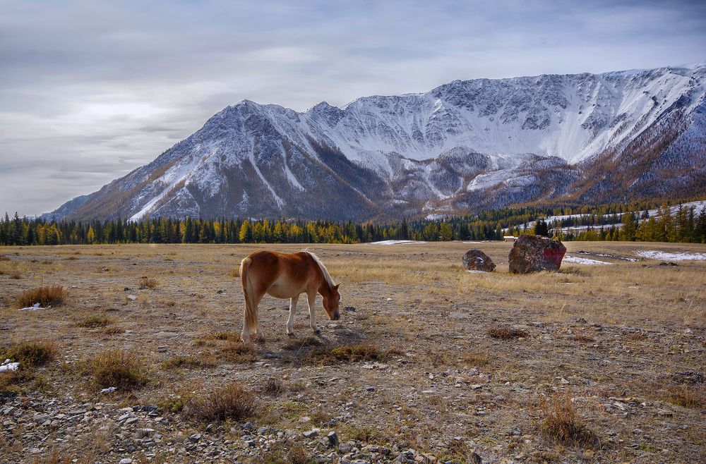 Photograph by Чичкин Валерий