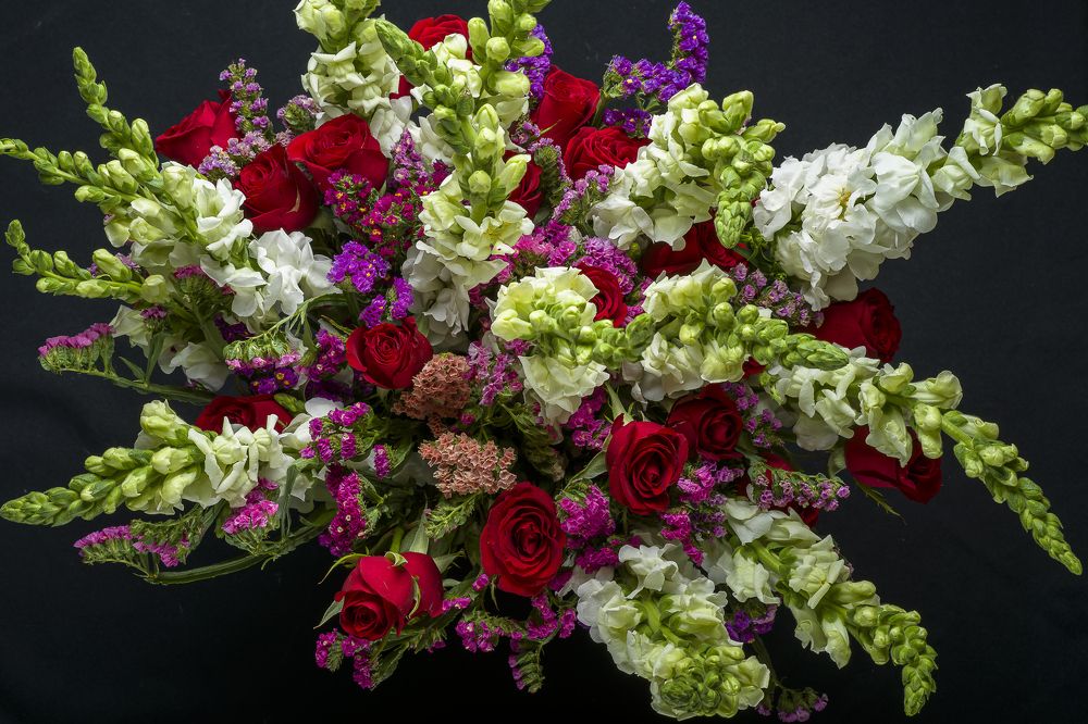 Photograph by Armando López-Guerrero