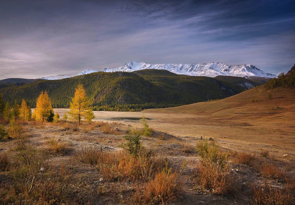 Photograph by Чичкин Валерий