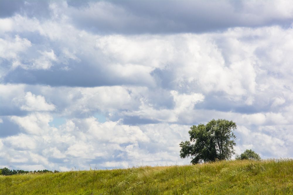 Photograph by Максим Покидышев