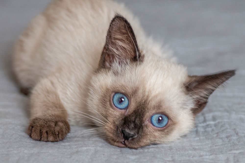 Photograph by Александр Ефисько