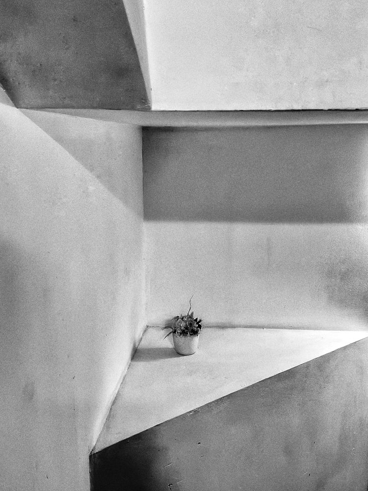 Photograph by Ирина Ц