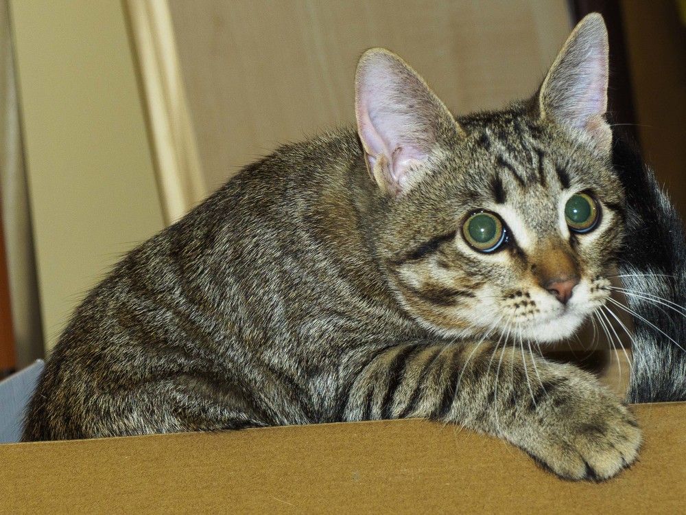 Photograph by Борис