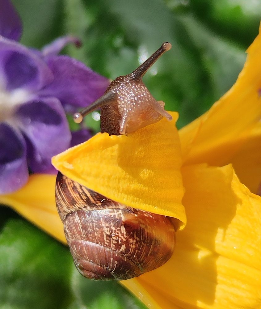 Photograph by Татьяна