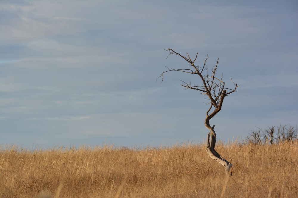 Photograph by Максим Покидышев