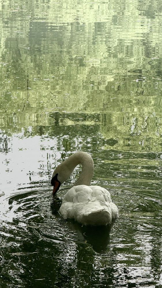 Photograph by Белла