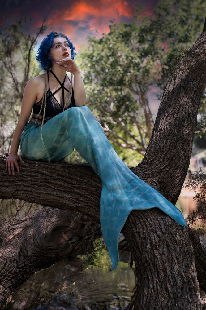 Фотография автора Alex Lerner