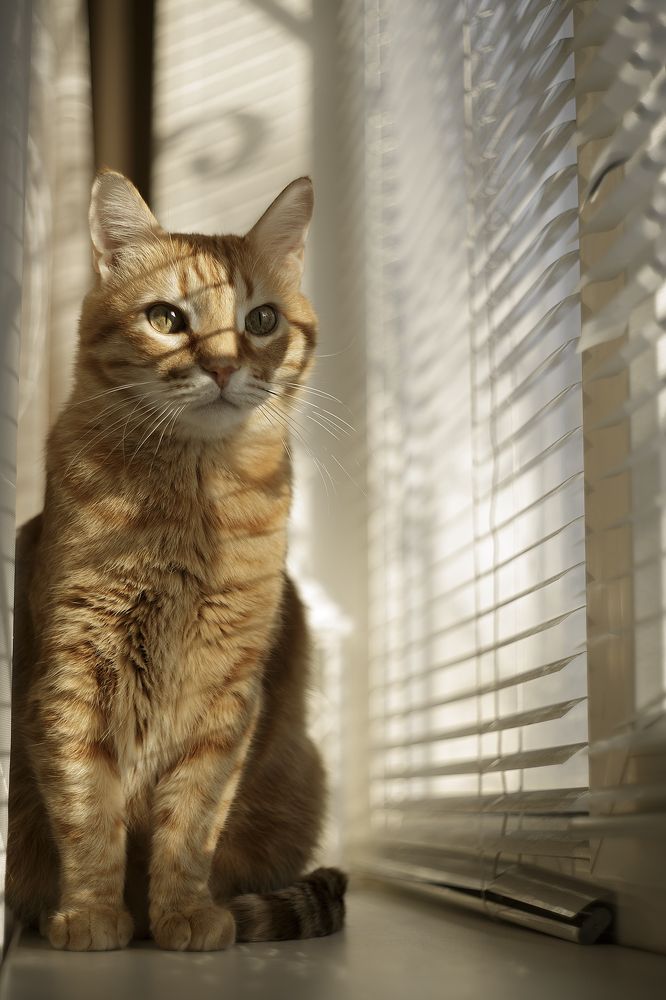 Photograph by Евгений Пивкин