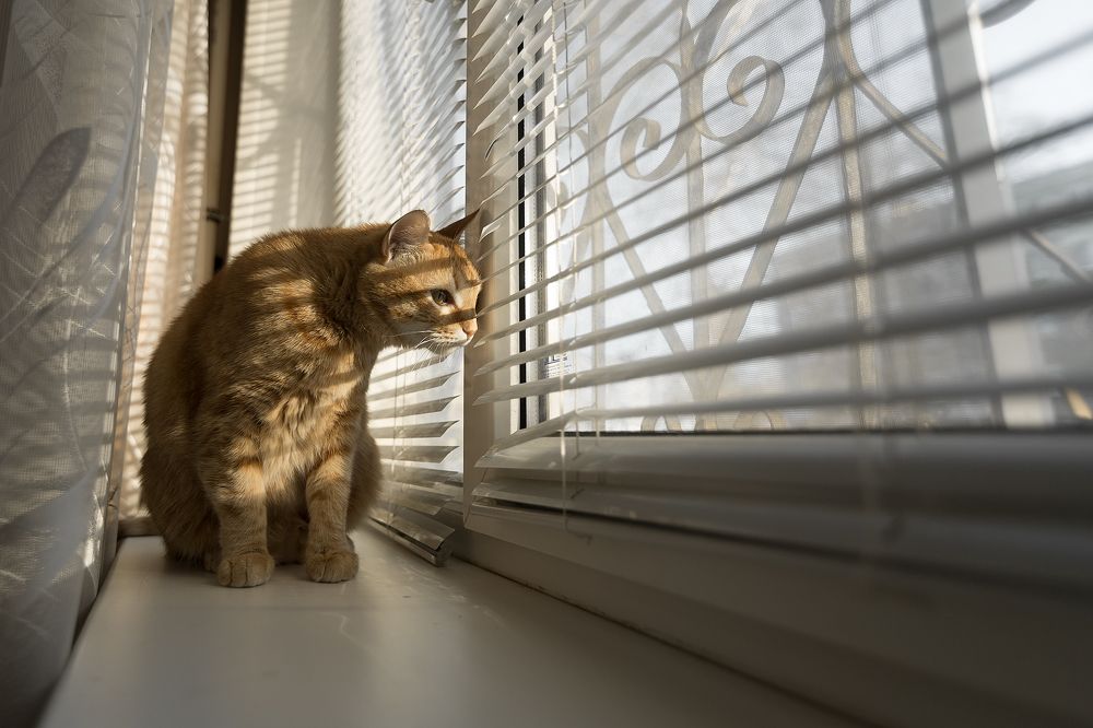 Photograph by Евгений Пивкин