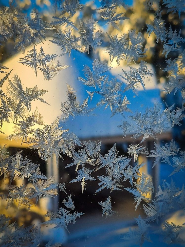 Photograph by Andrey Purtov