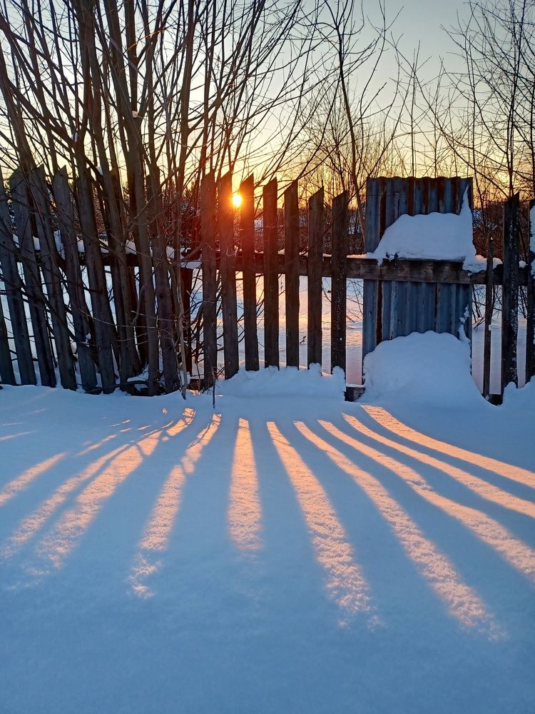 Photograph by Егор Рукавицин